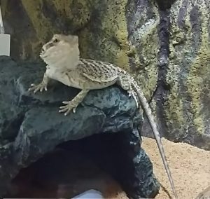 IMG_20160403_221244165