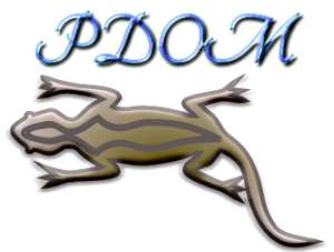 爬虫類の慣れさせ方まとめてみました!