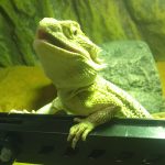 温浴成功&満面の笑み?