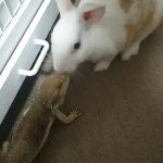 ココと超接近