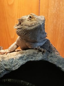 温浴について考える！