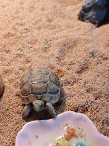 通気性を考える！